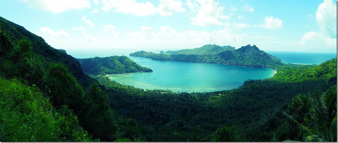 P1020973_thumb3_thumb