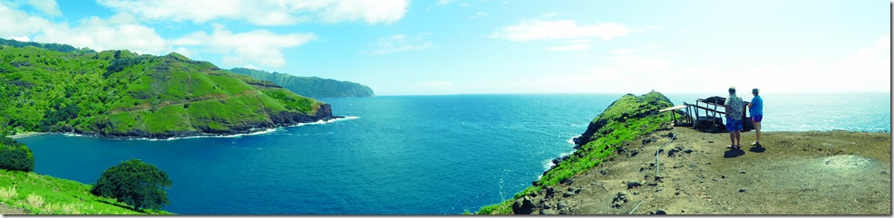 The hen run with the best view in FP