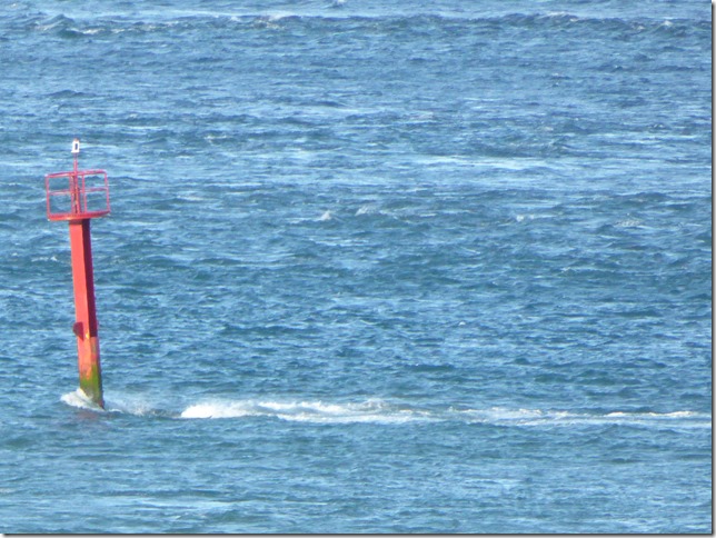 Bluff, The Fastest Indian and a Birthday