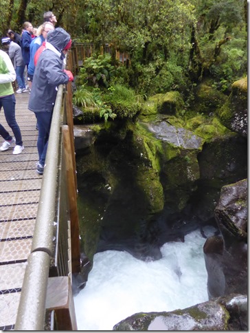 Milford Sound and Surrounds