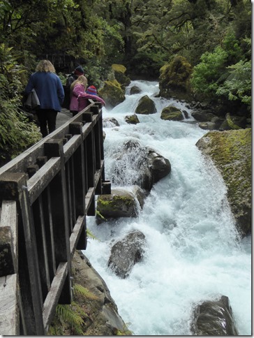 Milford Sound and Surrounds
