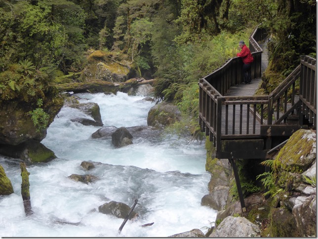 Milford Sound and Surrounds