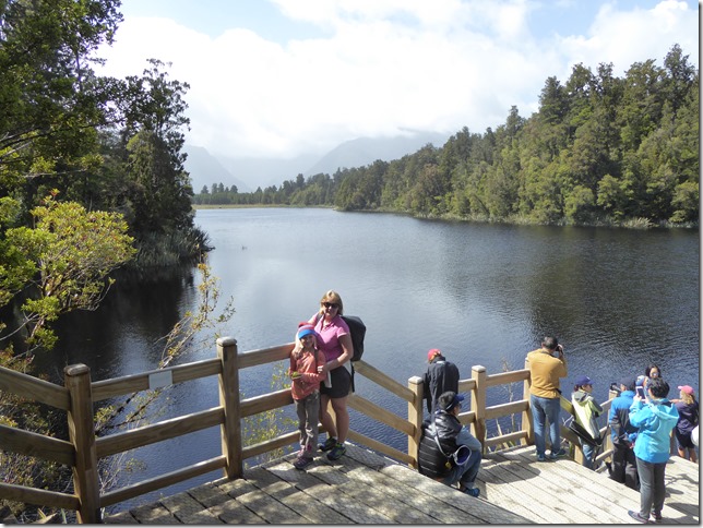 Fox Glacier and the West Coast of S Island
