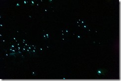 Nelson, Havelock and back to the ferry