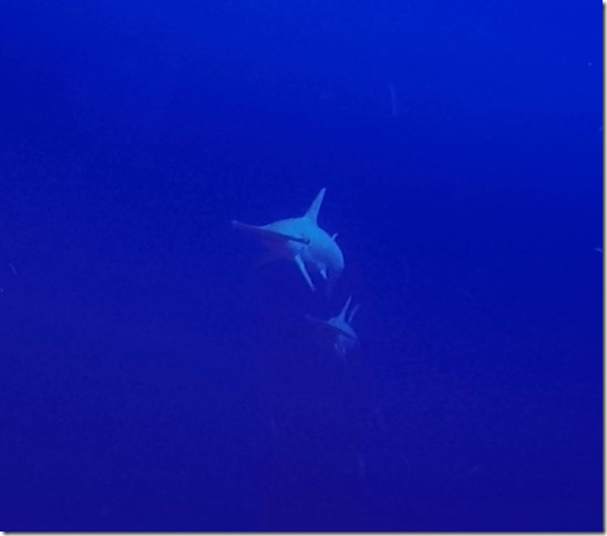 GPExportPhoto-0001 (2)