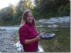 Nelson, Havelock and back to the ferry