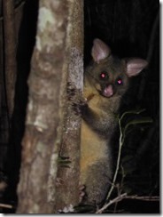 Nelson, Havelock and back to the ferry