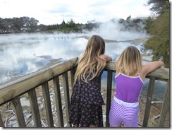 North Island again–Wellington, Rotarua and tree running