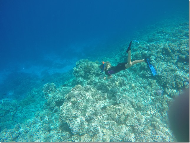 Fakarava Diving
