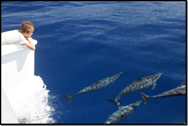 The Return of Taia - Fiji