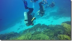 A return to Paradise, diving in Viani Bay and an aborted sail to Nadi