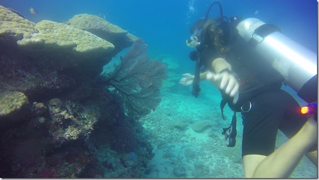 The Return of Taia - Fiji