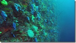 A return to Paradise, diving in Viani Bay and an aborted sail to Nadi