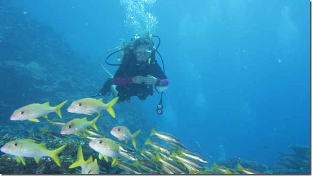 The Return of Taia - Fiji